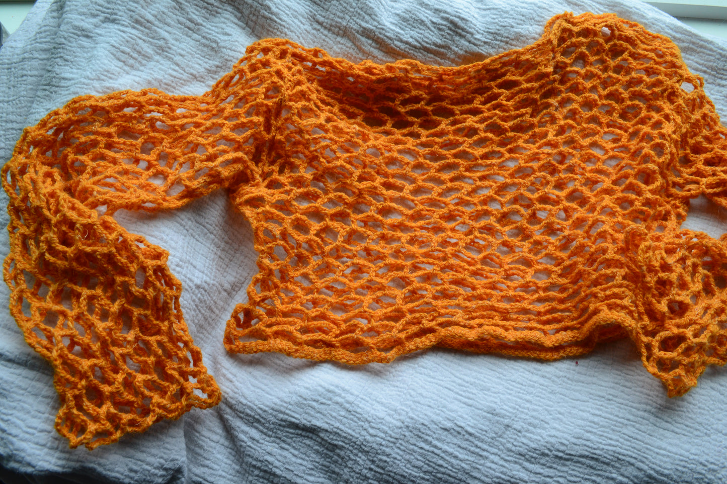 Crochet Mesh Crop Top 3/4 Length Sleeves