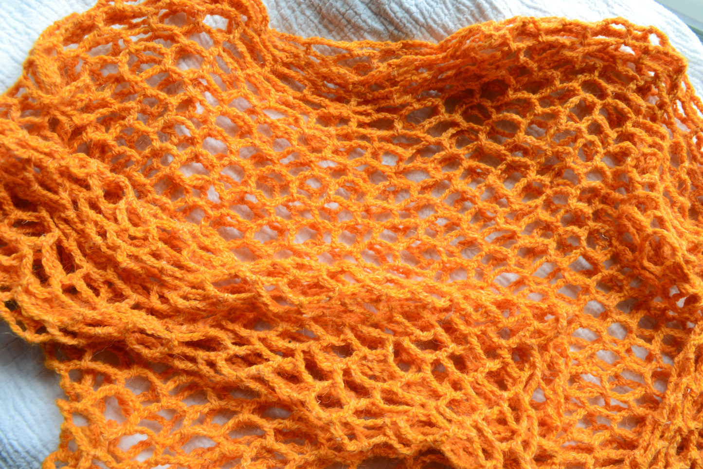 Crochet Mesh Crop Top 3/4 Length Sleeves